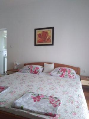 זאוסטרוג Apartments Medici מראה חיצוני תמונה