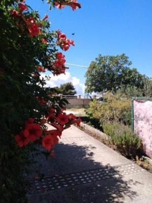 זאוסטרוג Apartments Medici מראה חיצוני תמונה